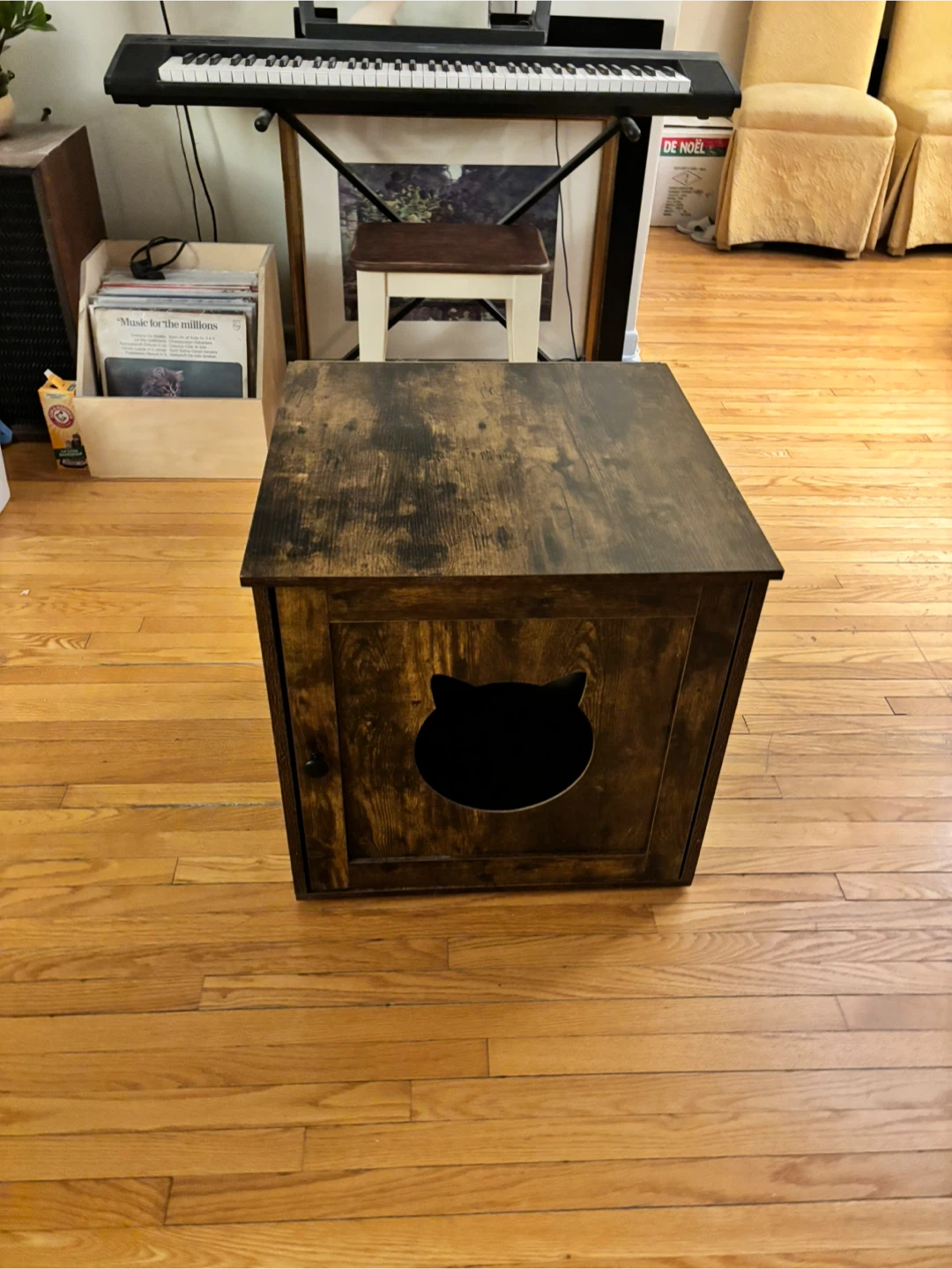 Cat Litter Box Cabinet