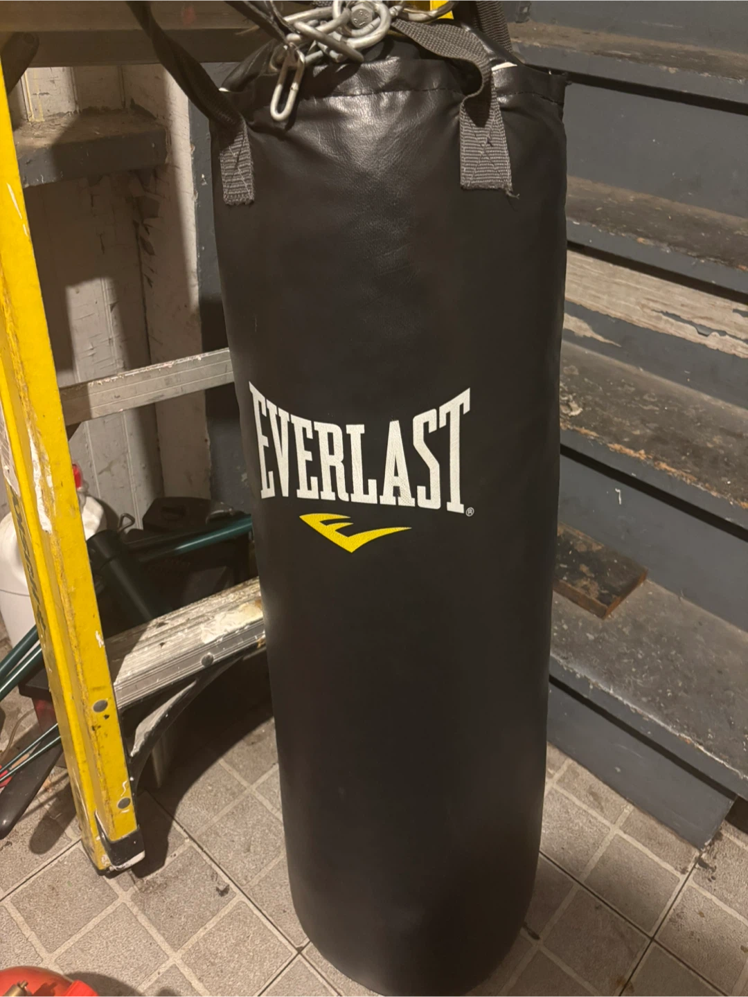Everlast Punching Bag