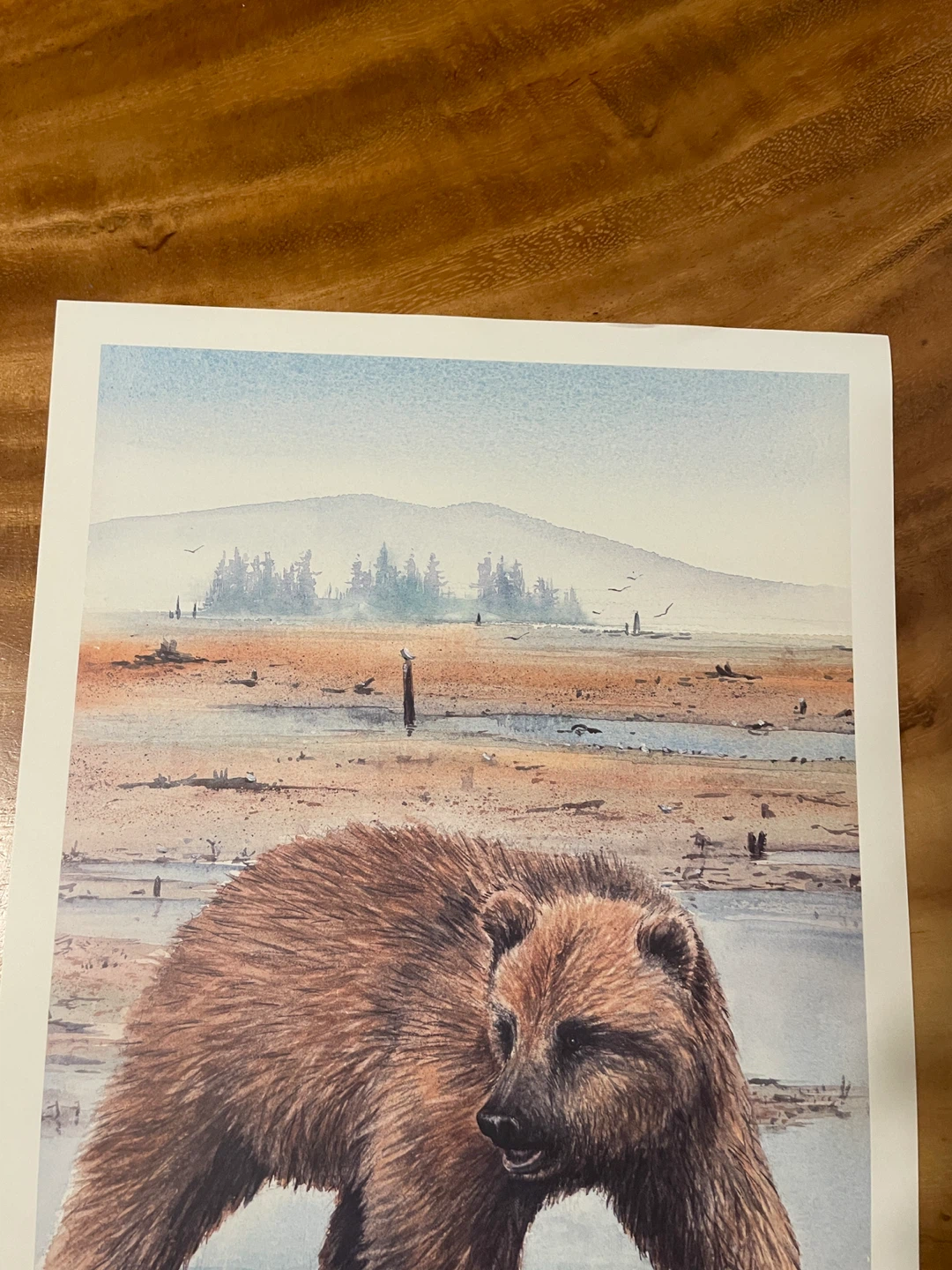 Sue Coleman "Bear" Reflection Series Art Print - photo 4