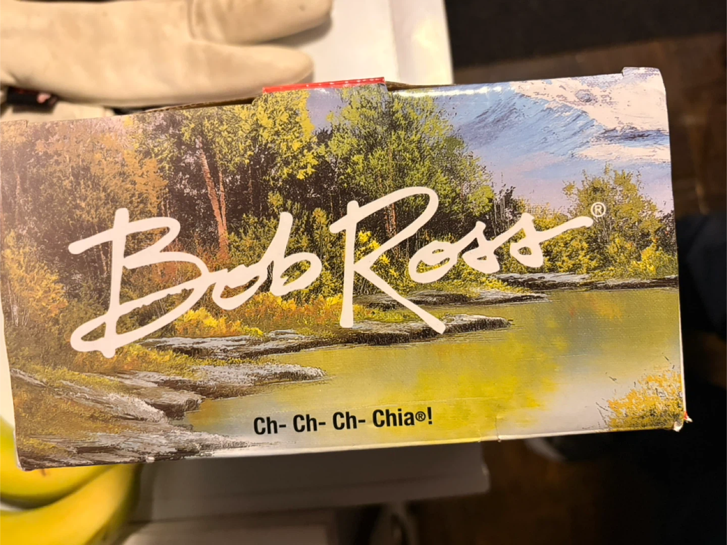 Bob Ross Chia Pet