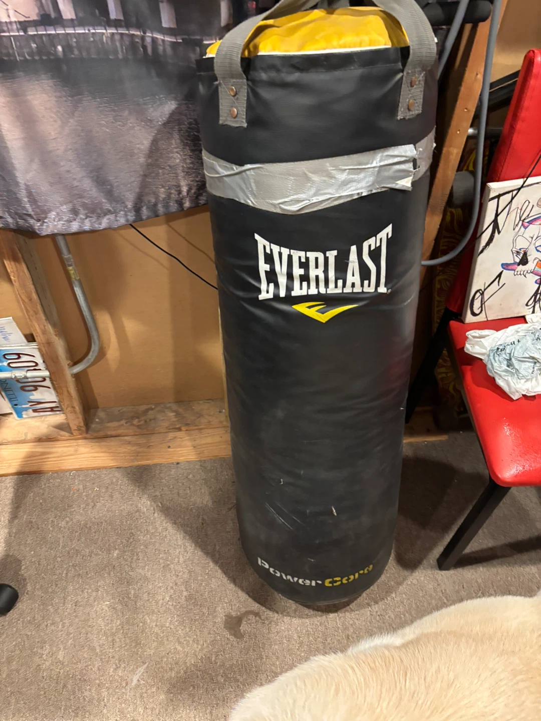 Everlast Power Core Punching Bag