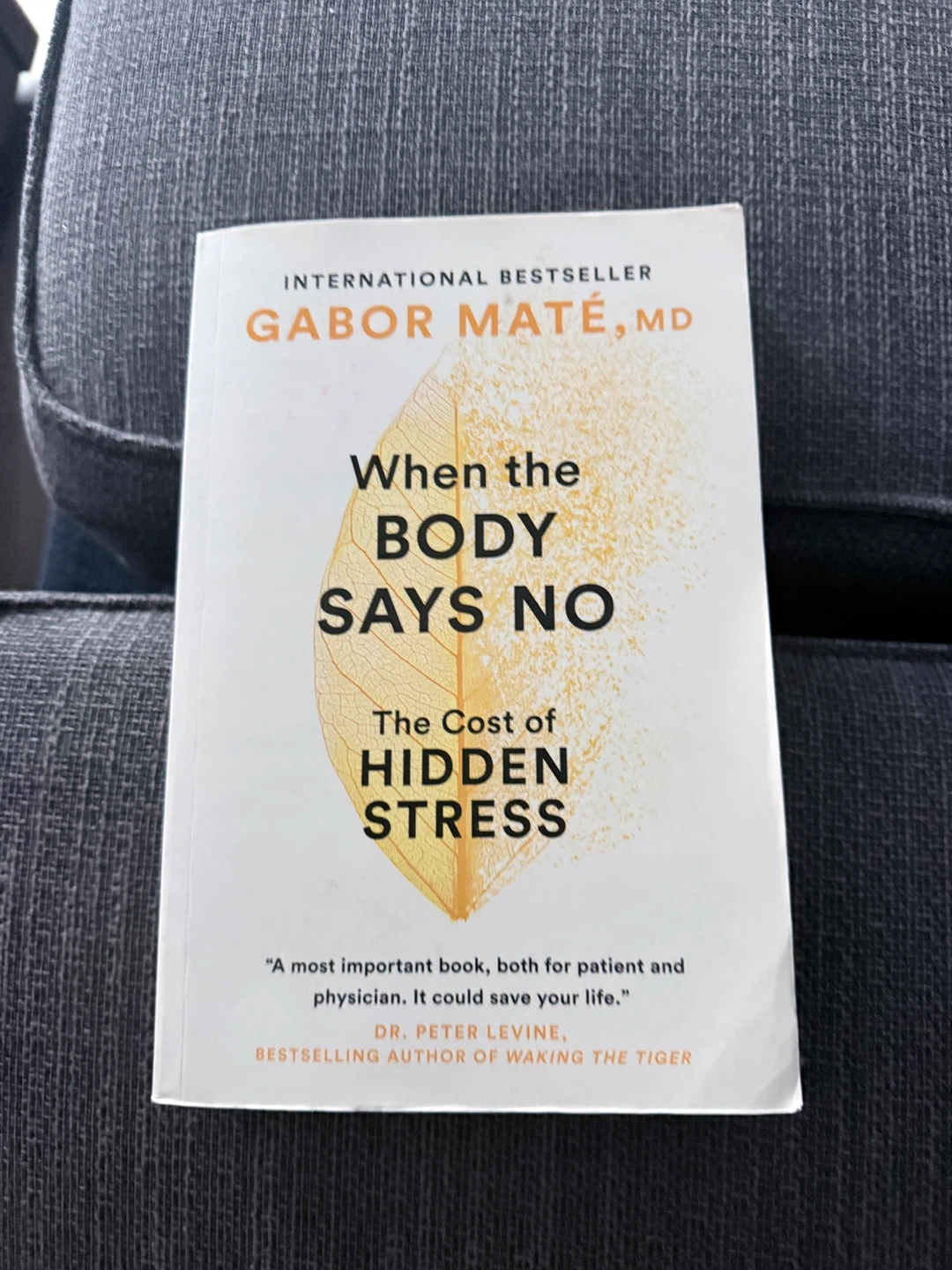 When the Body Says No: The Cost of Hidden Stress by Gabor Maté