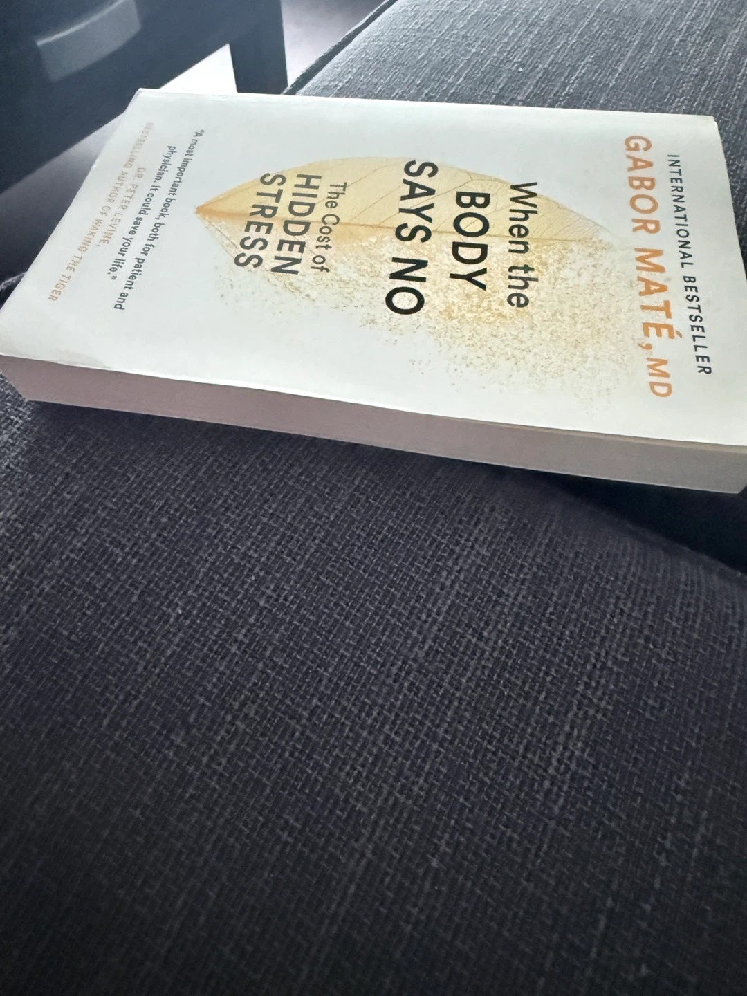 When the Body Says No: The Cost of Hidden Stress by Gabor Maté - photo 2