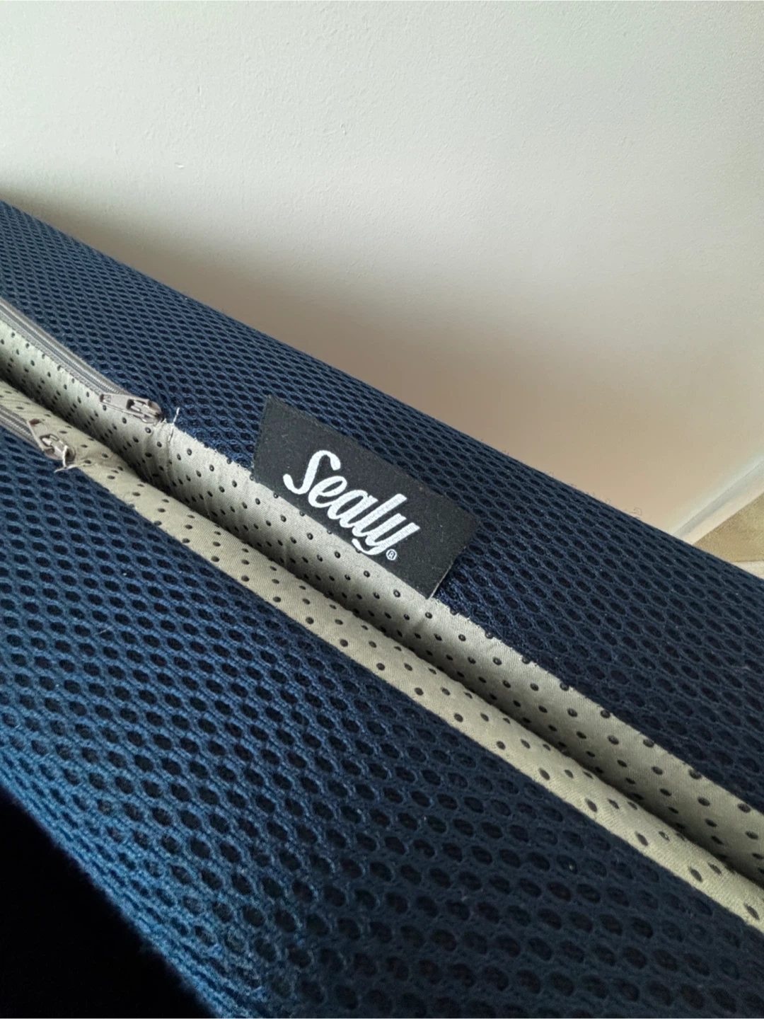 Sealy Tri-Fold single Mattress
