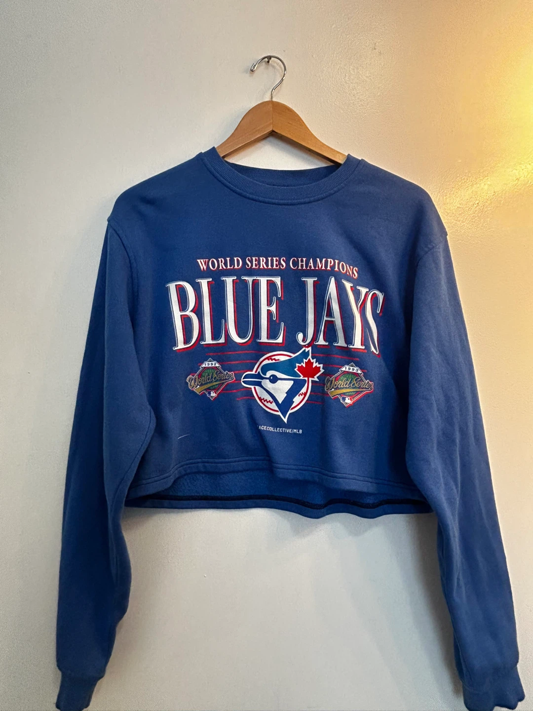 Blue Jays crop sweater