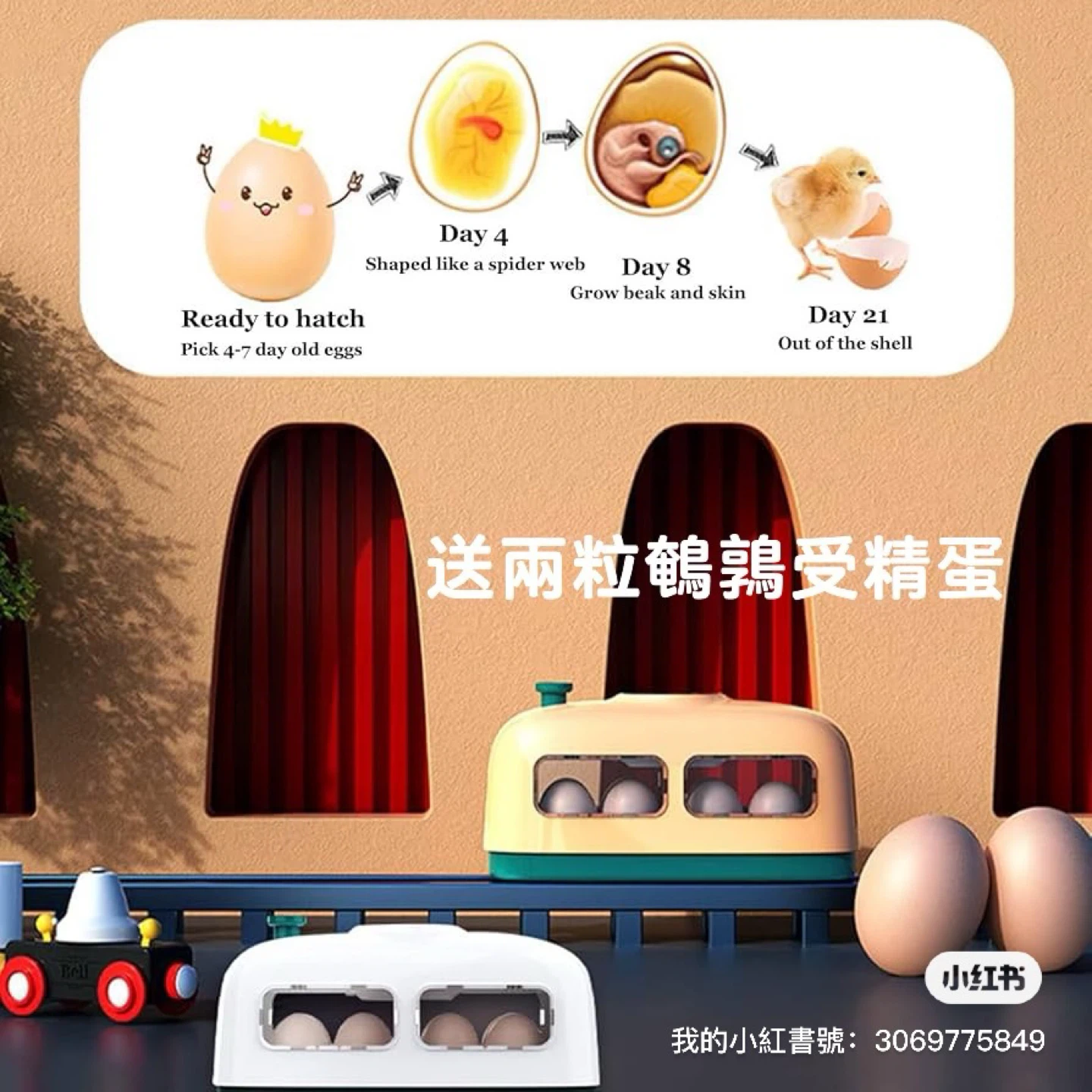 Egg Incubator with Automatic Egg Turner