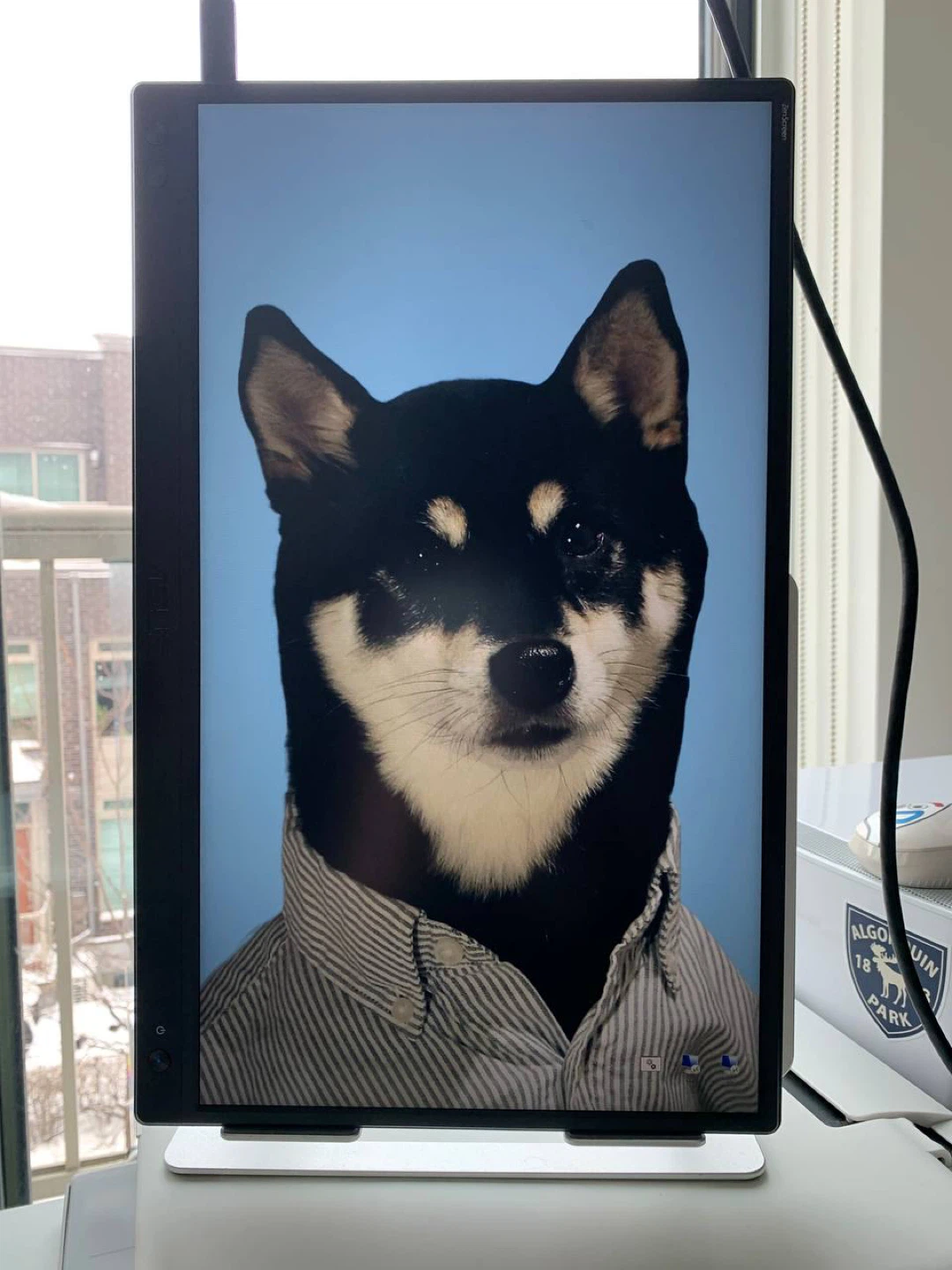 ASUS 15.6” Portable Monitor - photo 2