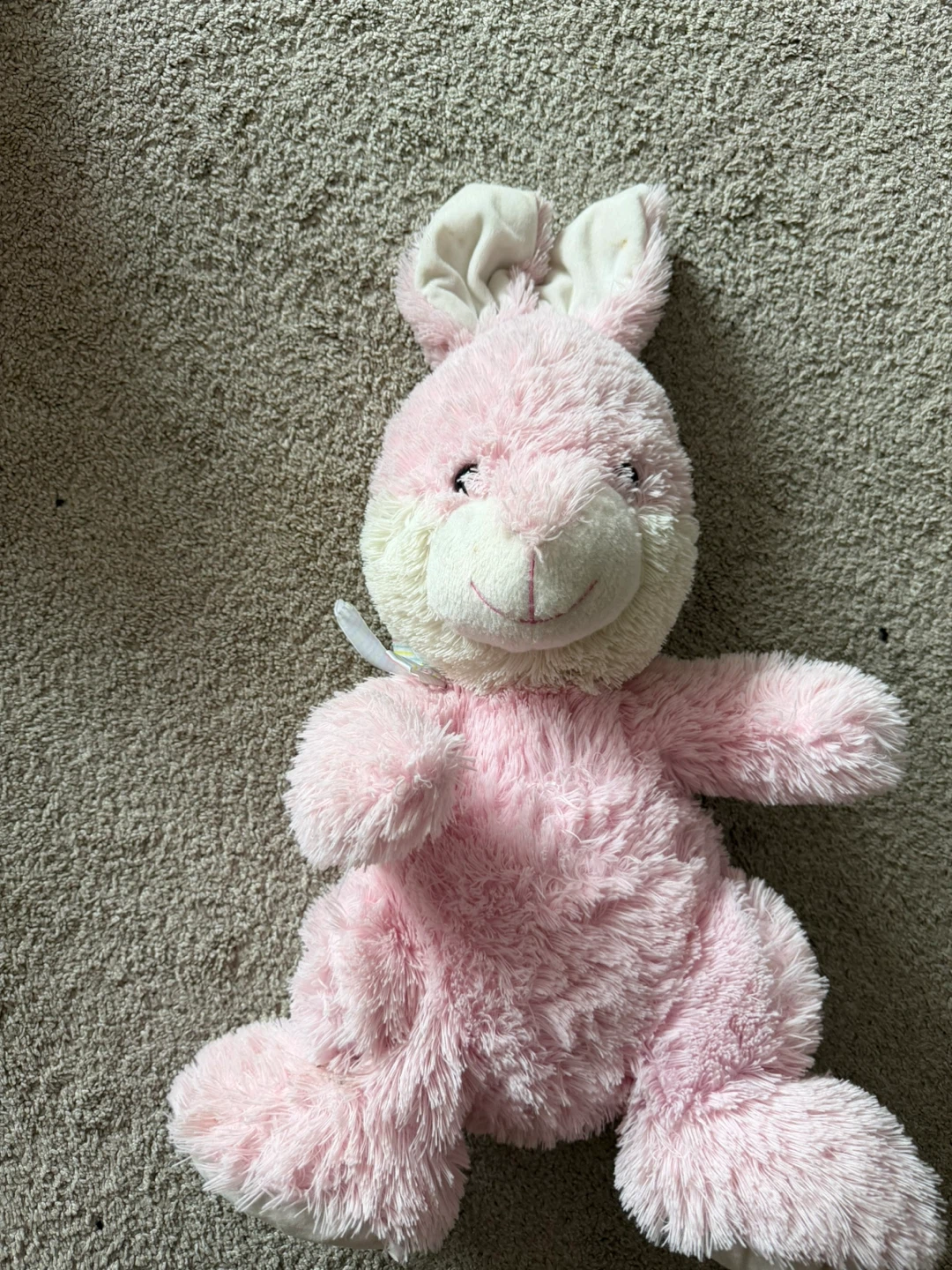 Plush Bunny 🏆