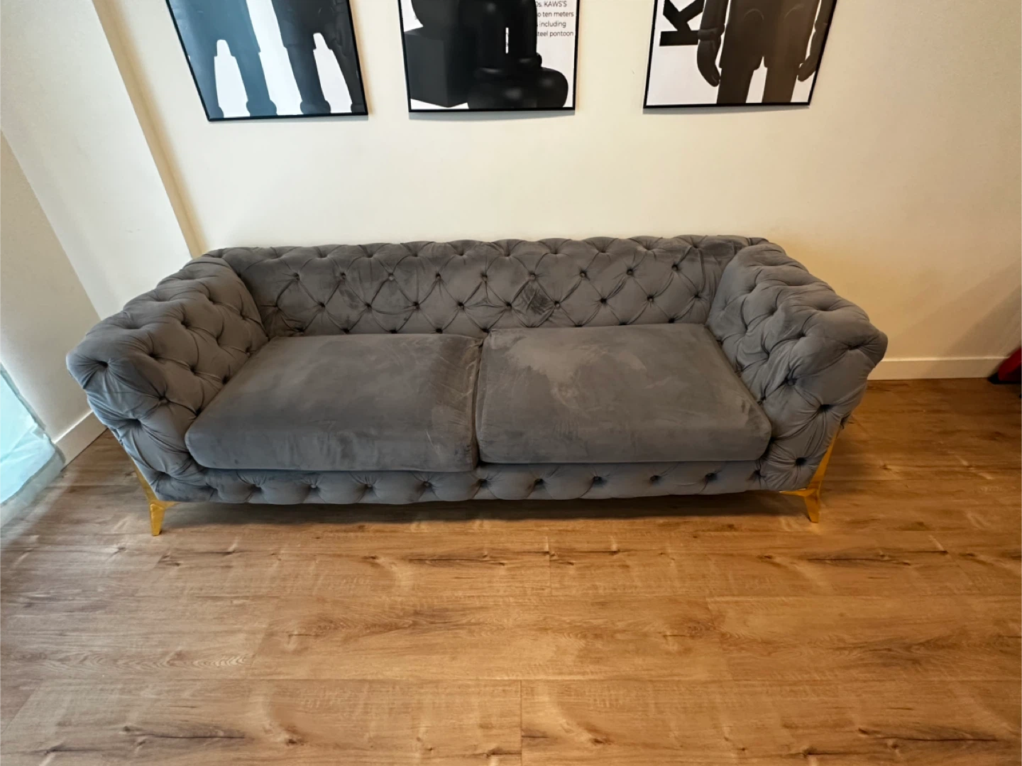 Grey Velvet Tufted Sofa with Gold Legs & ottoman - photo 2