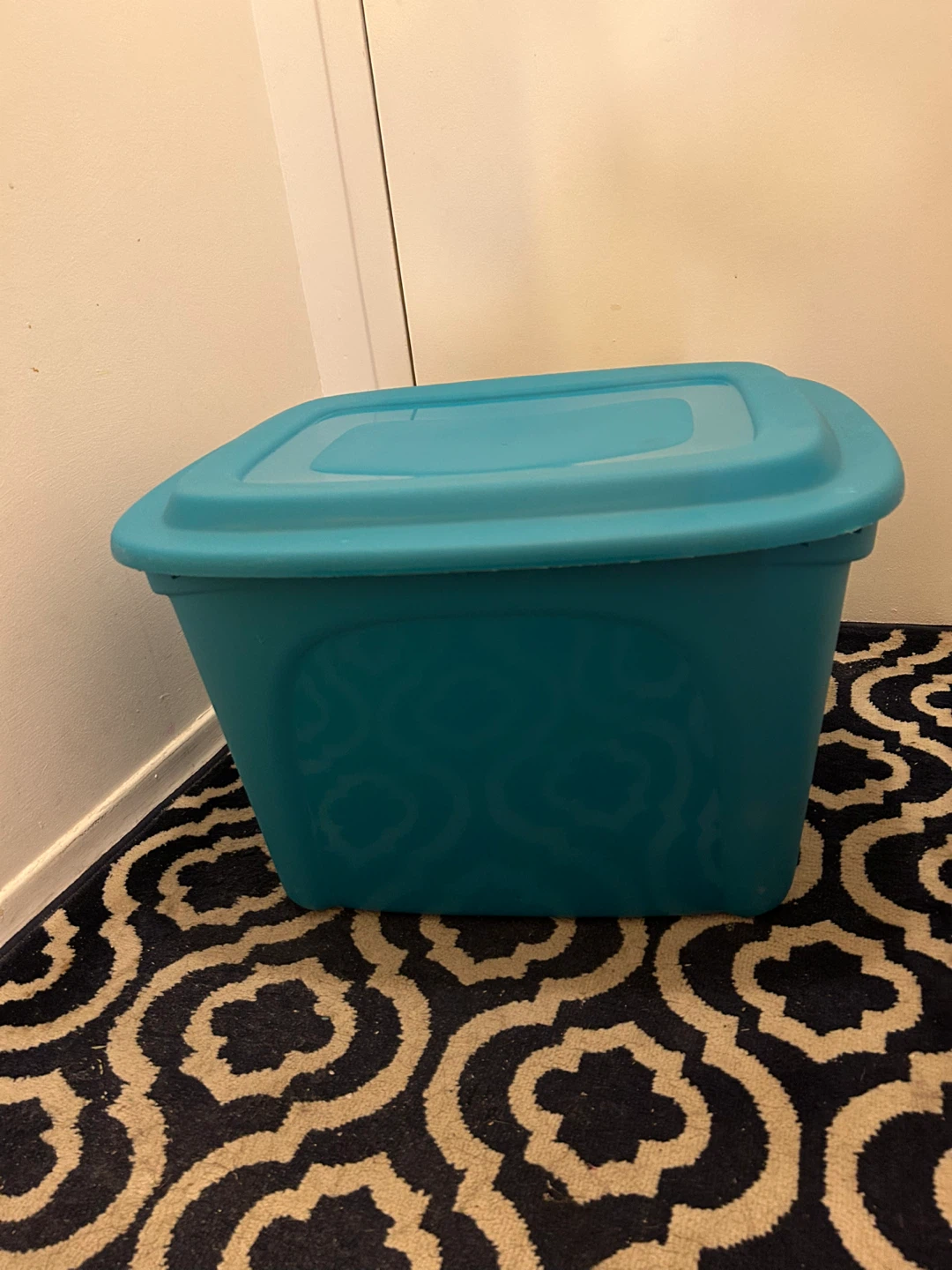 Teal Storage Bin with Lid