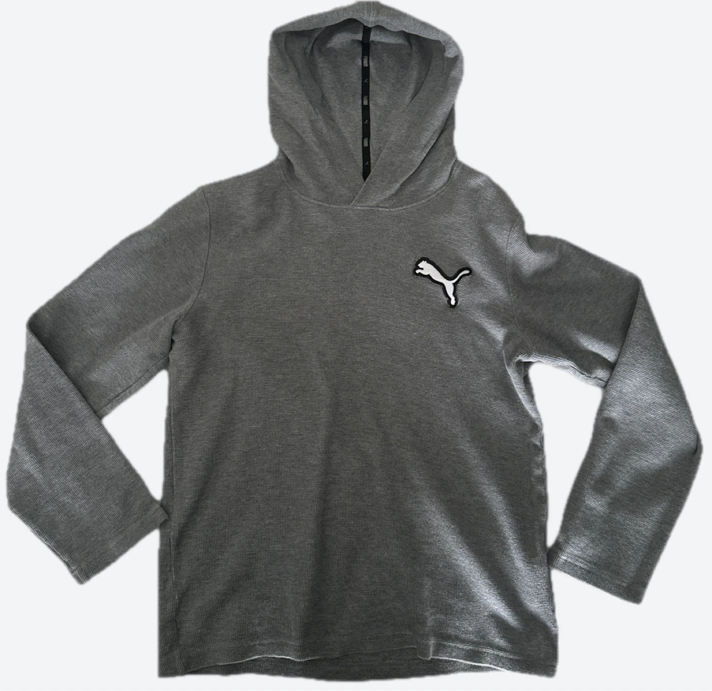 Puma Grey Hoodie