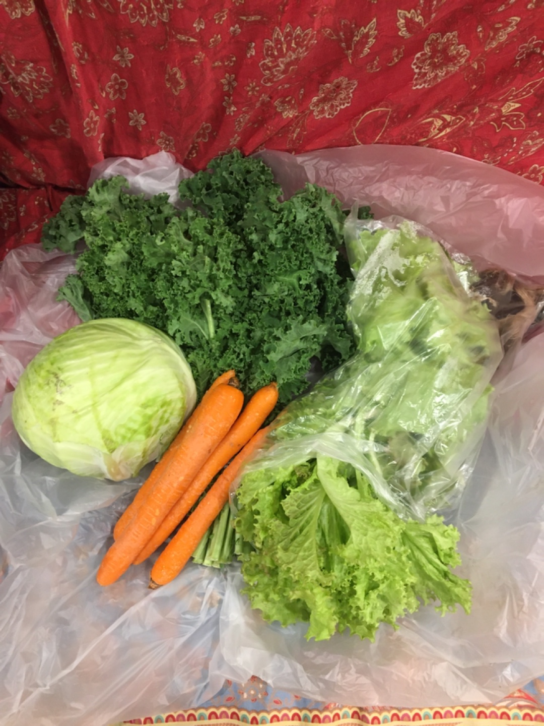 Fresh Vegetables: Cabbage, Kale, Carrots, and Lettuce