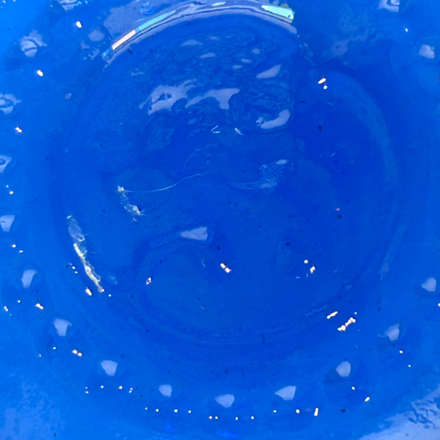 Set of 1 Cobalt Blue Pressed Glass Grape Bowl, 1960s - photo 5