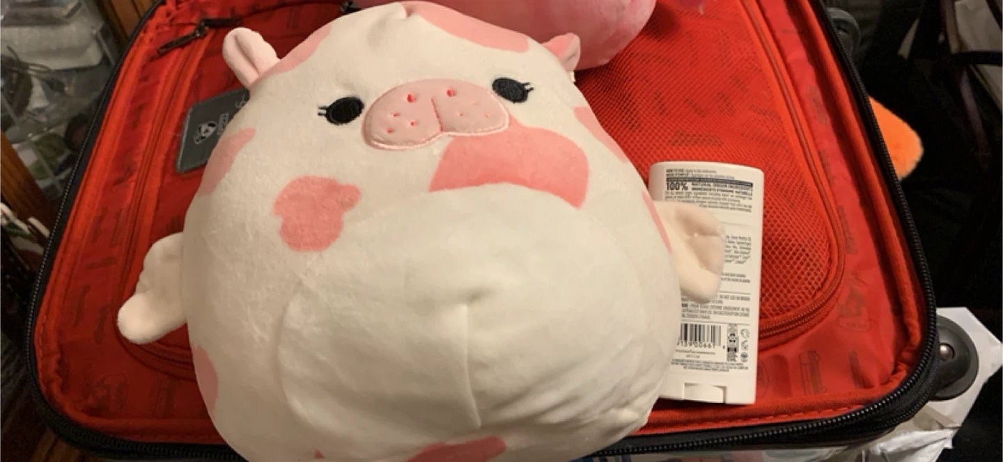 Lot for Cow and Penguin Plush Toys 🏆 - photo 3