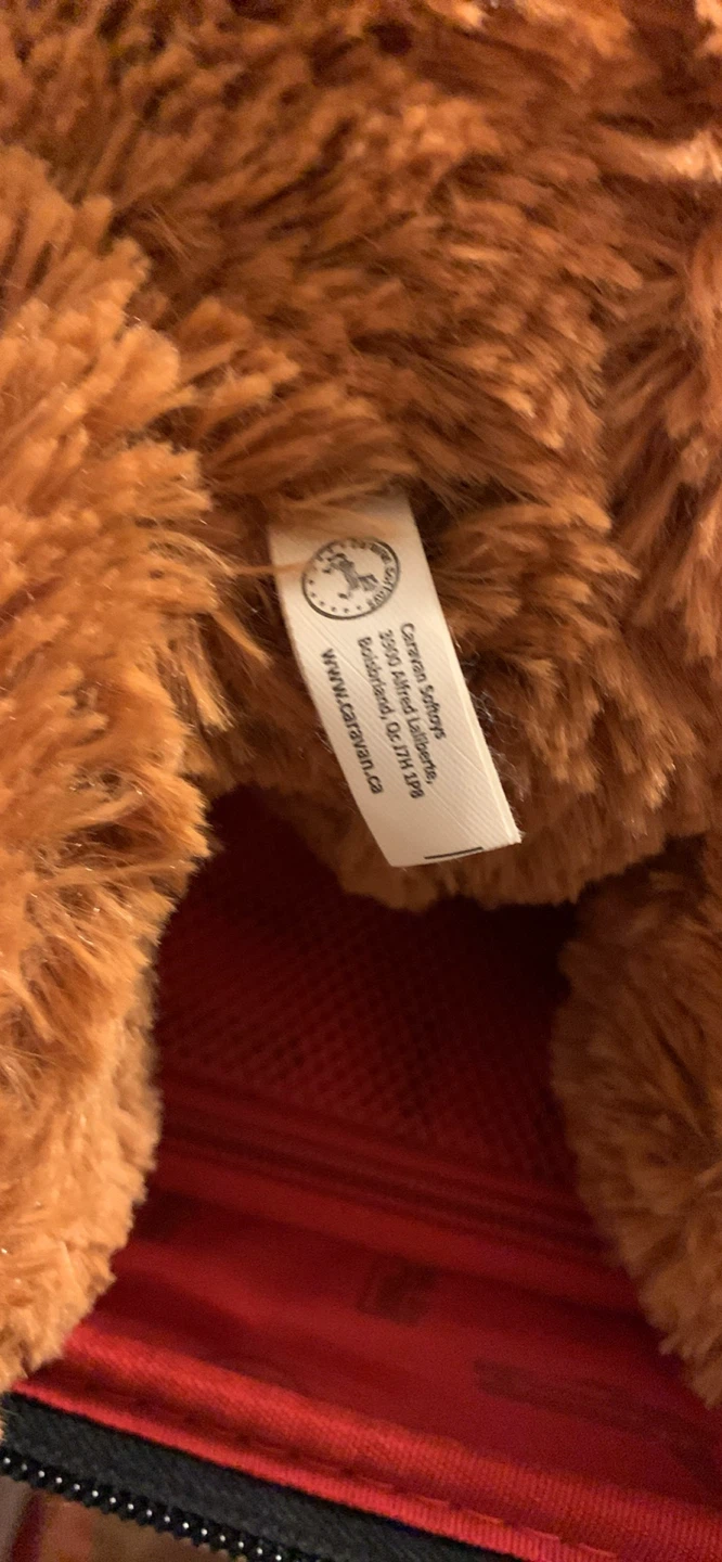 2 x  Cute Teddy Bear🏆 - photo 4