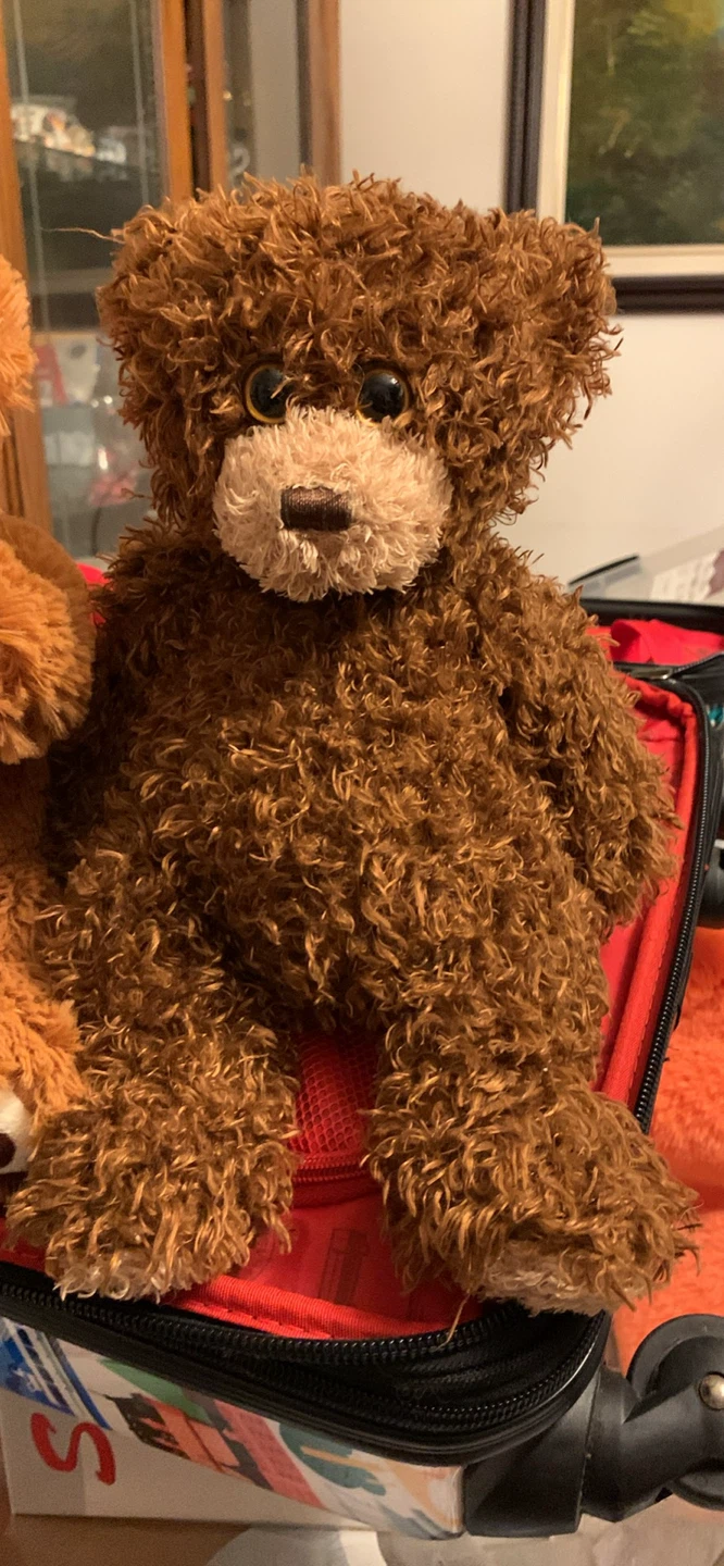 2 x  Cute Teddy Bear🏆 - photo 2