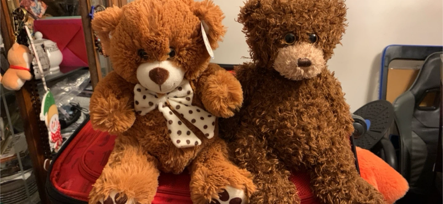 2 x  Cute Teddy Bear🏆