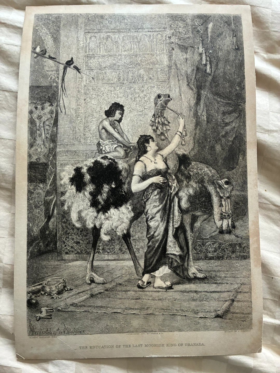 Antique orientalist 1890s print art ostrich Last King Grenada - photo 2