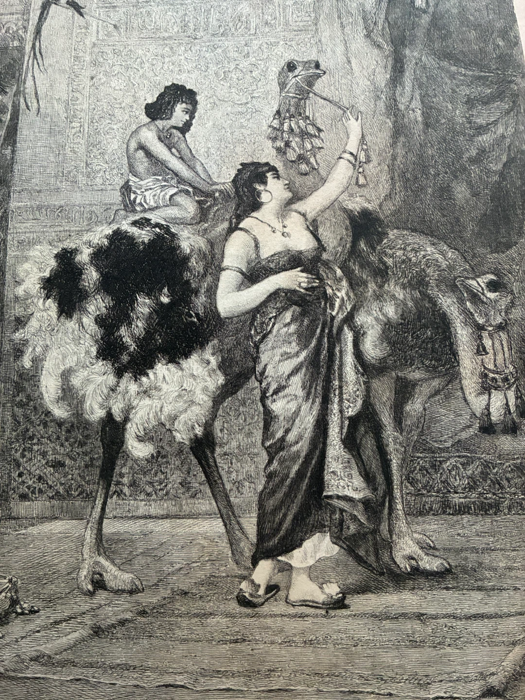 Antique orientalist 1890s print art ostrich Last King Grenada
