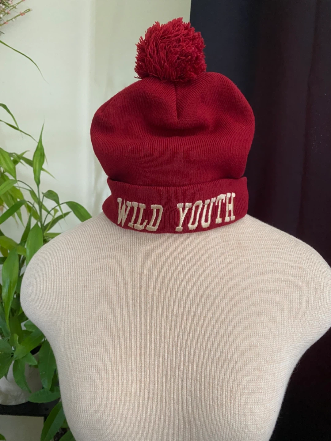 Red "WILD YOUTH" Pom Beanie - photo 2