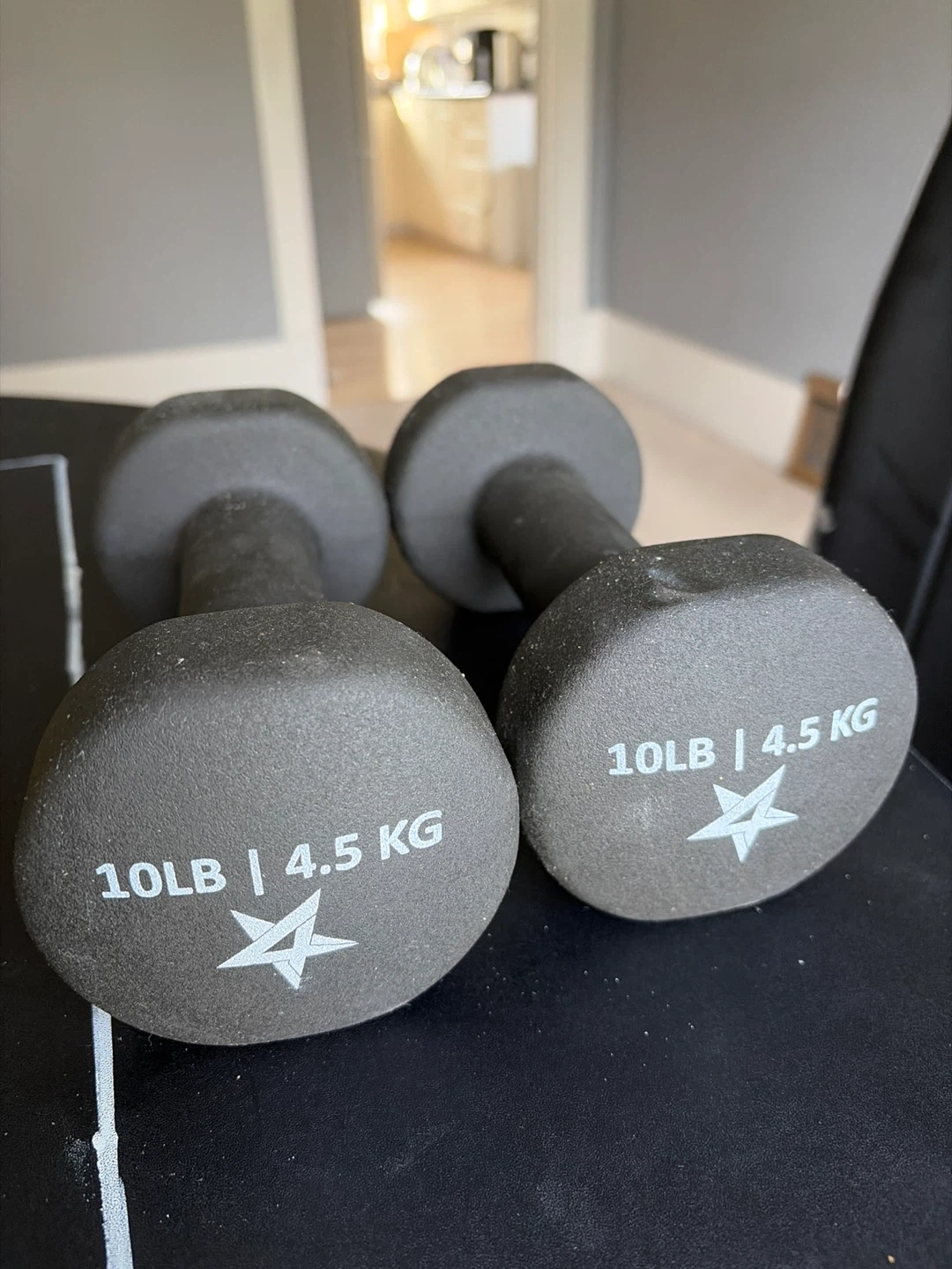 10lb / 4.5 KG Dumbbells (Pair)