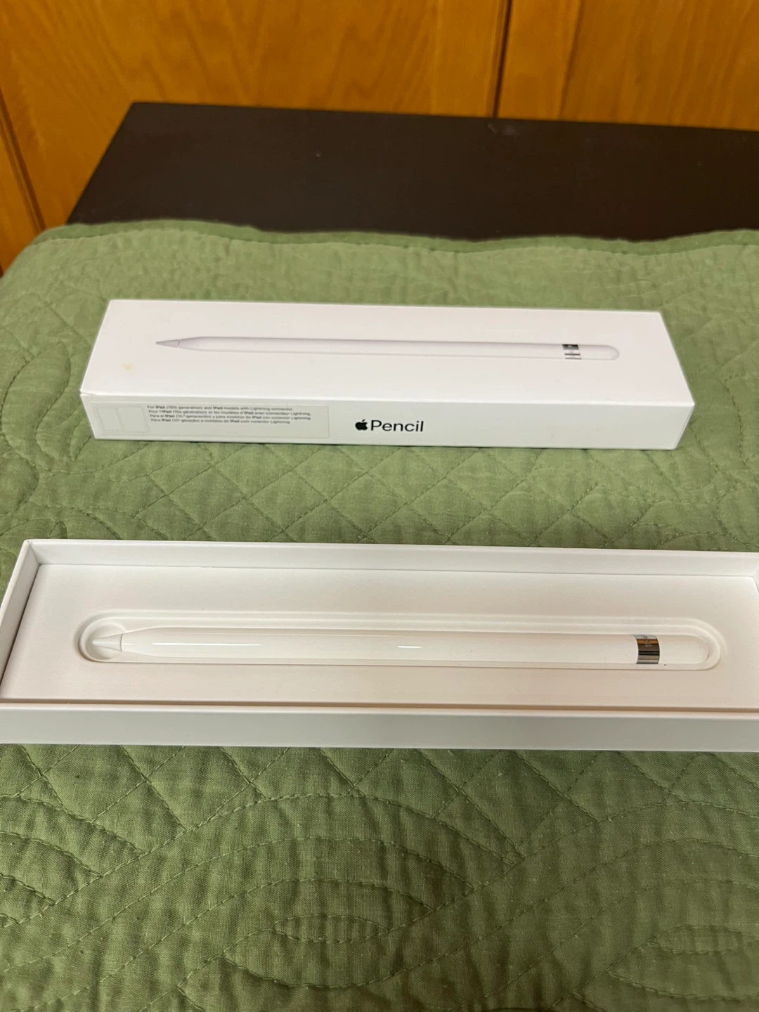 Apple Pencil (1st Generation)