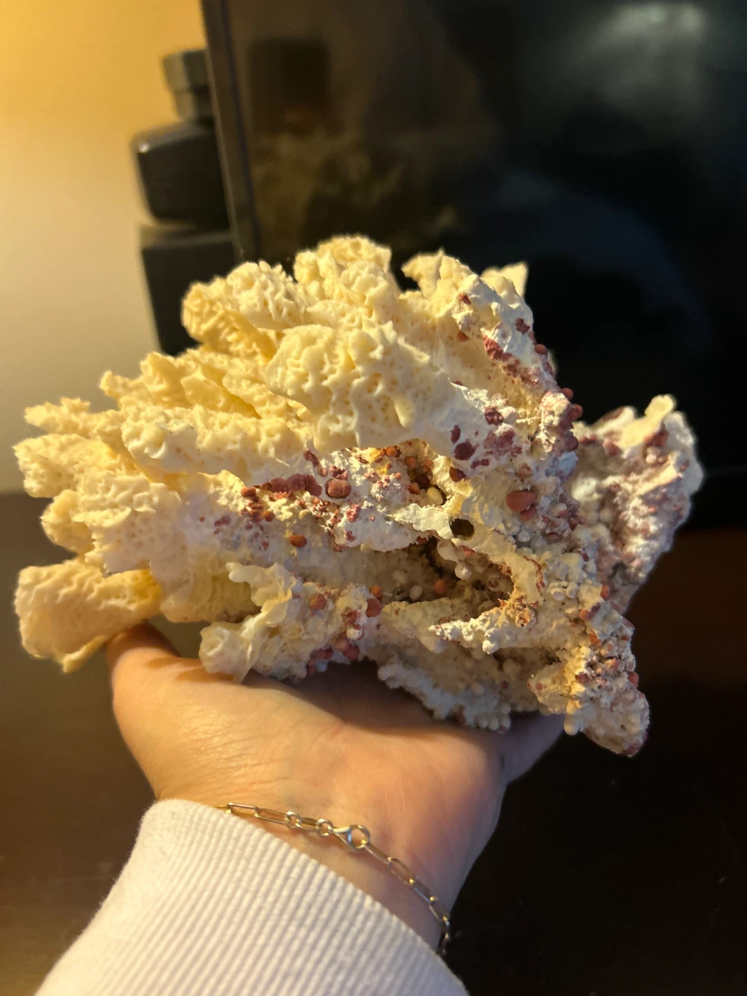 Coral Piece for Aquarium or decoration - from DR - photo 2