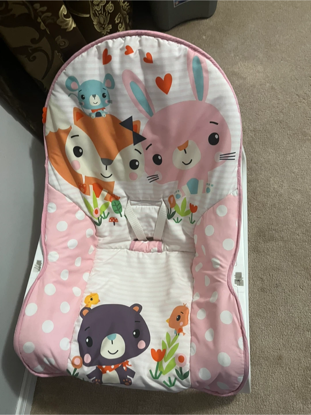 Fisher-Price Baby Bouncer Seat