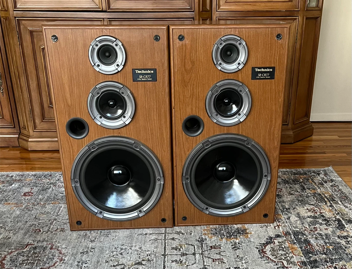 Stereo Speakers for Home
