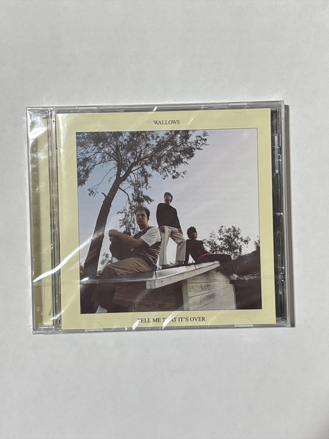 Wallows Tell Me That It's Over CD brand new 🏆