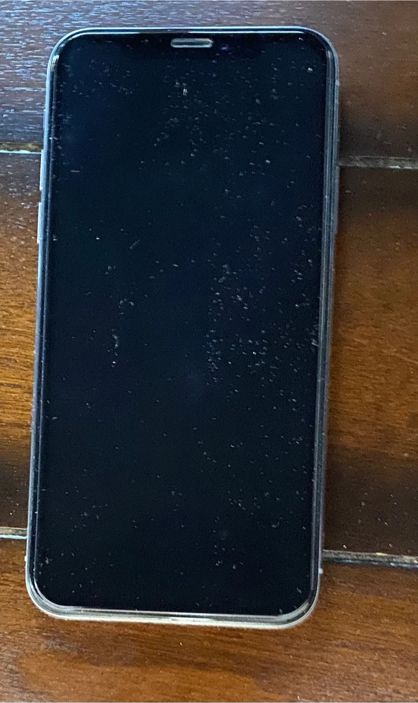 Apple iPhone X - photo 5