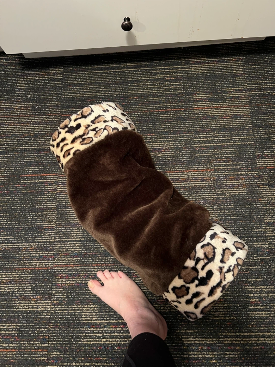 Plush Cat Tunnel