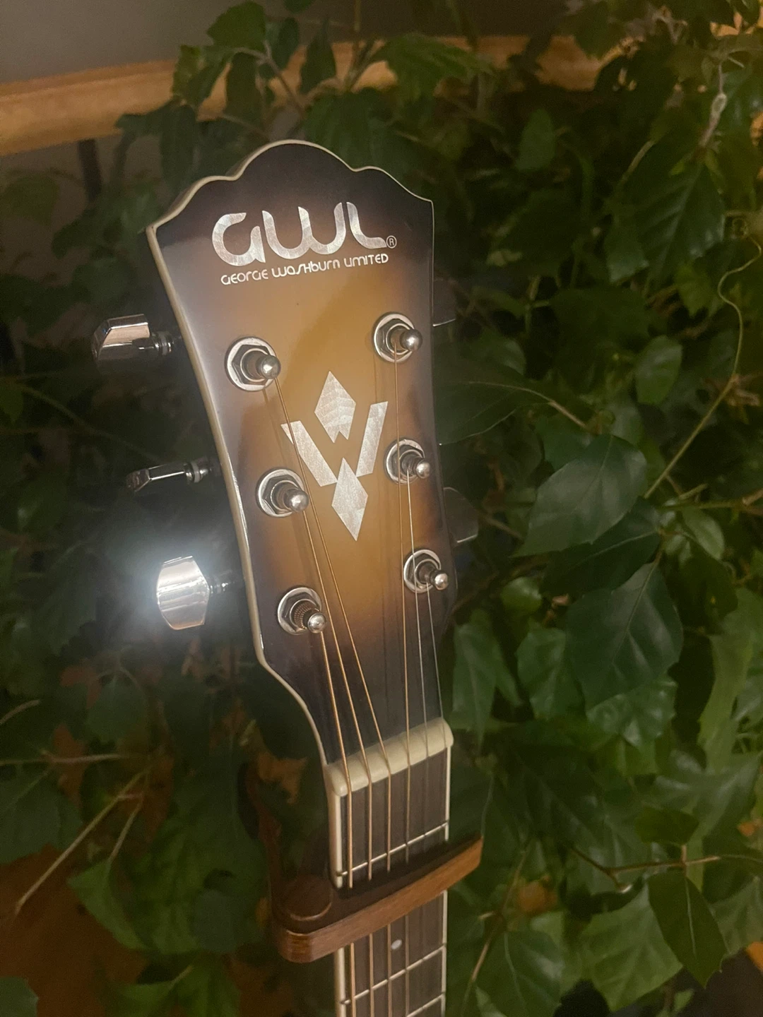 GWL George Washburn Limited Acoustic Guitar - photo 2