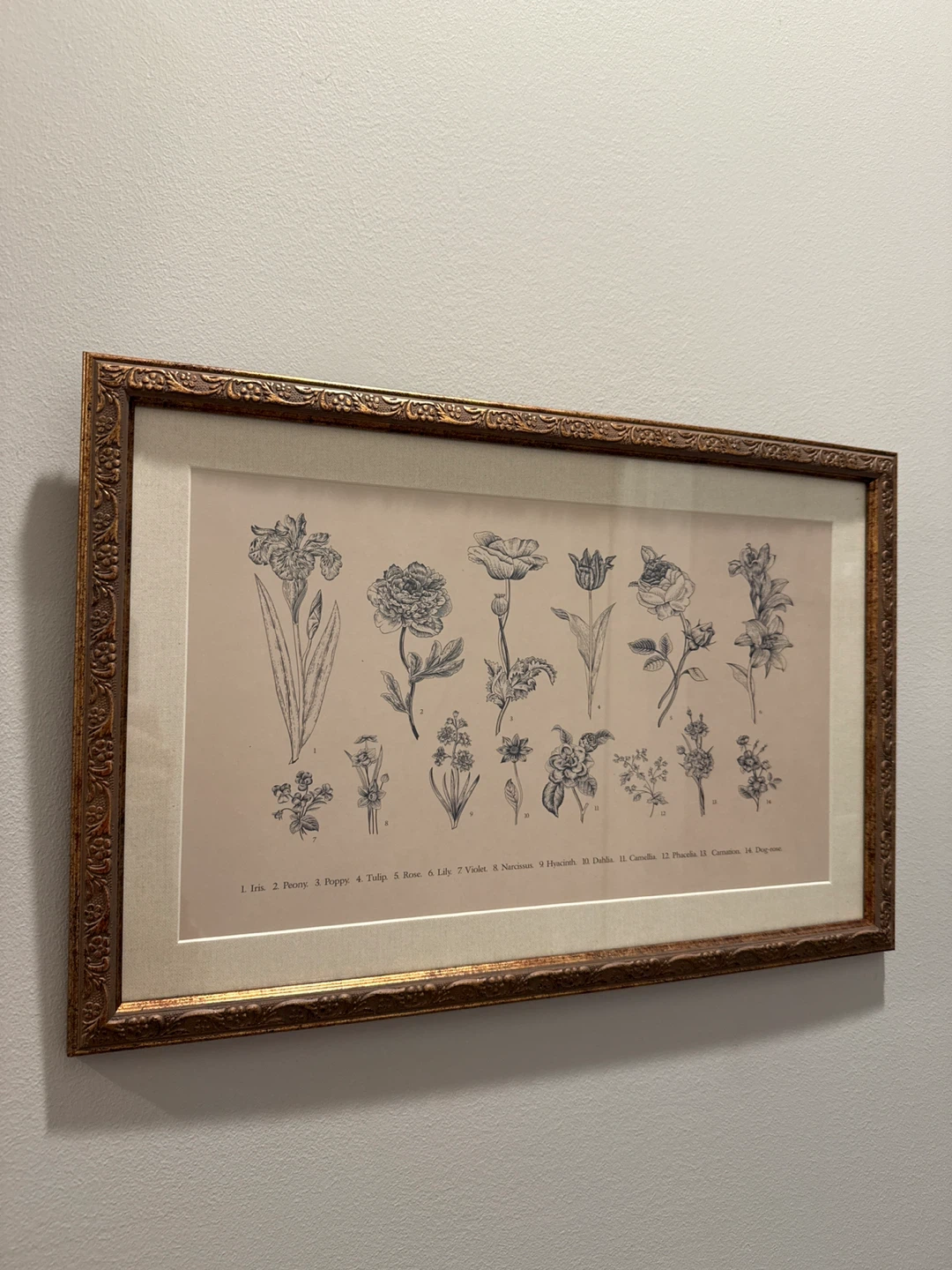 Framed Botanical and Floral Illustrations - photo 2