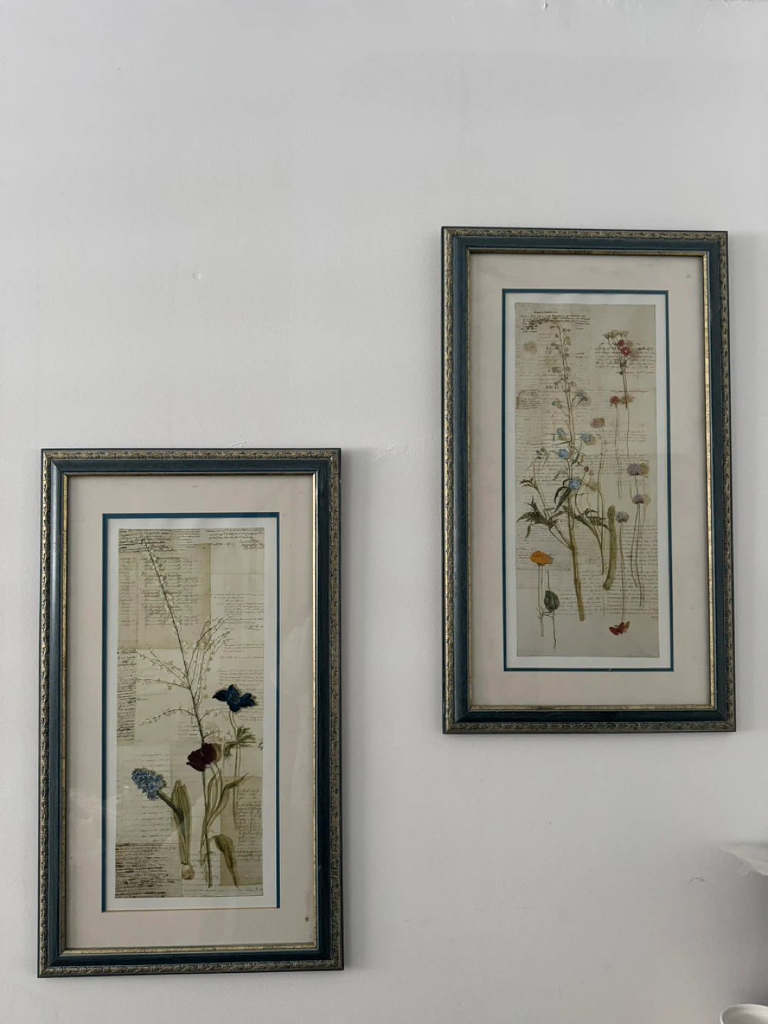 Set of 2 Botanical Framed Prints
