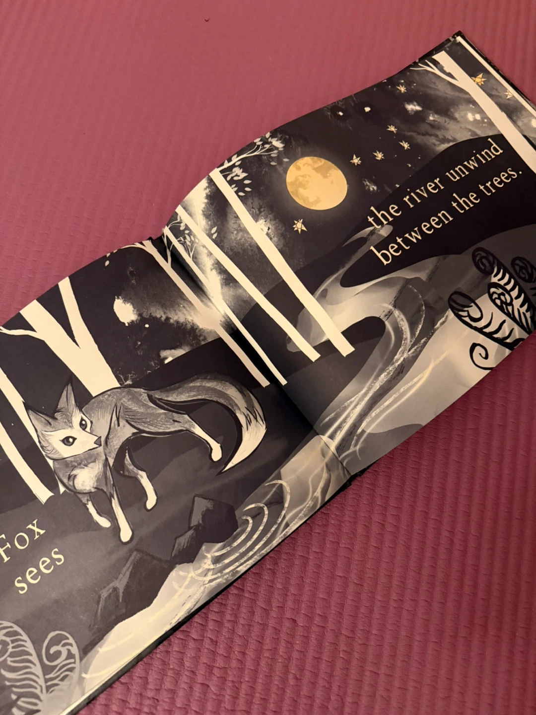 Gray Fox in the Moonlight Book 🏆 - photo 2