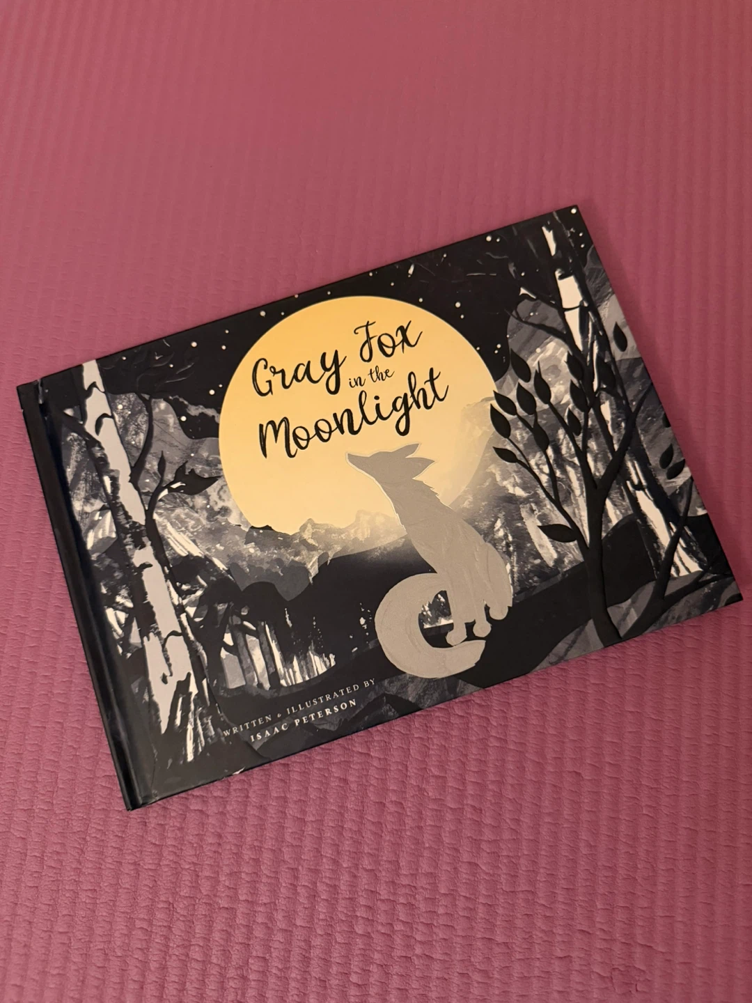 Gray Fox in the Moonlight Book 🏆