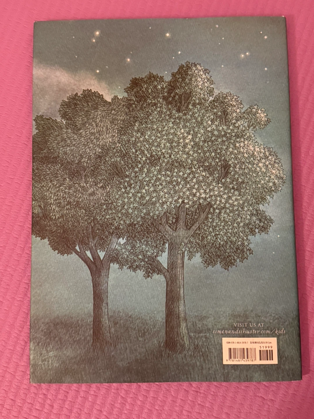 The Night Gardener Children's Book by The Fan Brothers 🏆 - photo 5