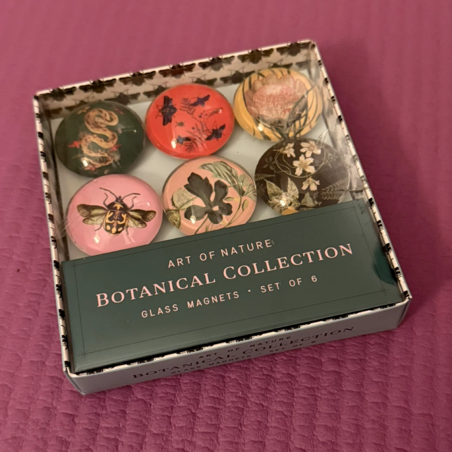 Art of Nature Botanical Collection Glass Magnets - Set of 6 🏆