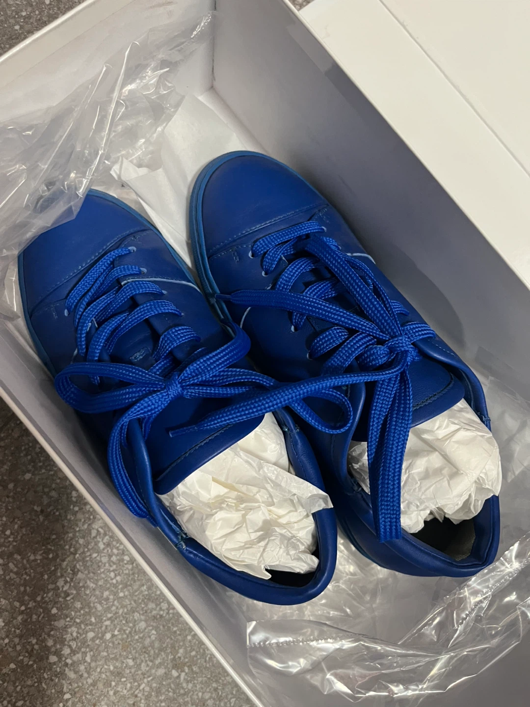Blue Leather Sneakers in Box