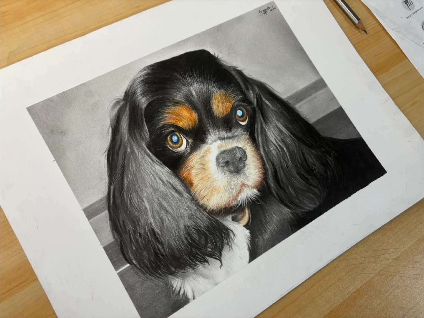 Custom Portrait Drawings