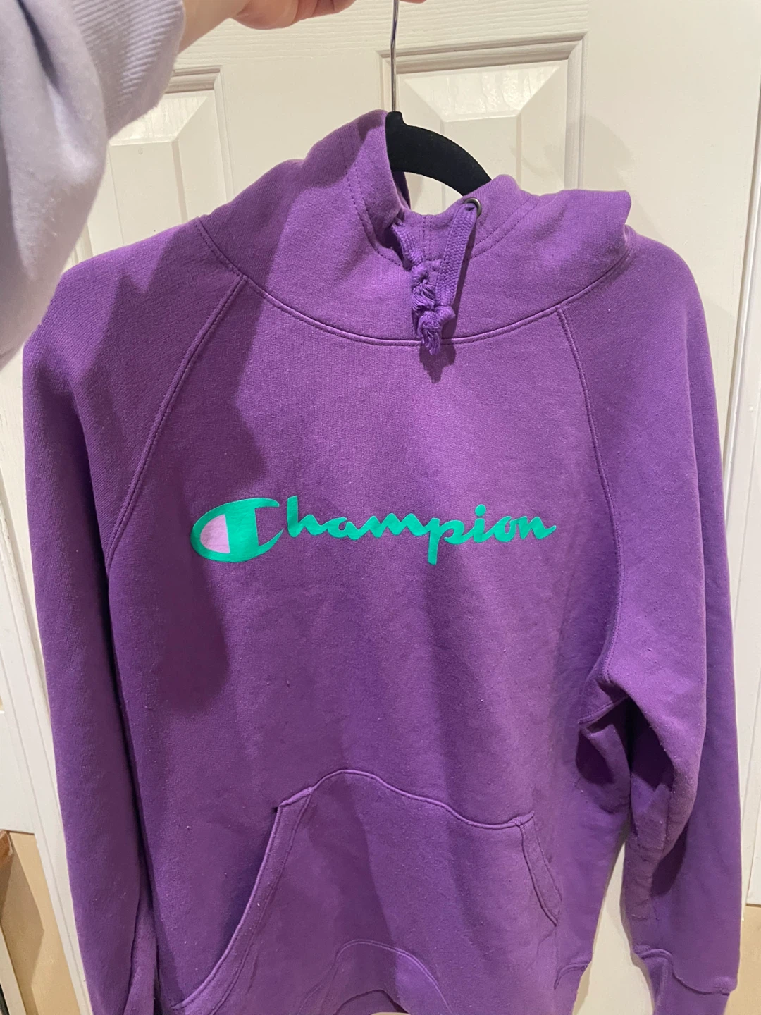 Champion Purple Hoodie unisex