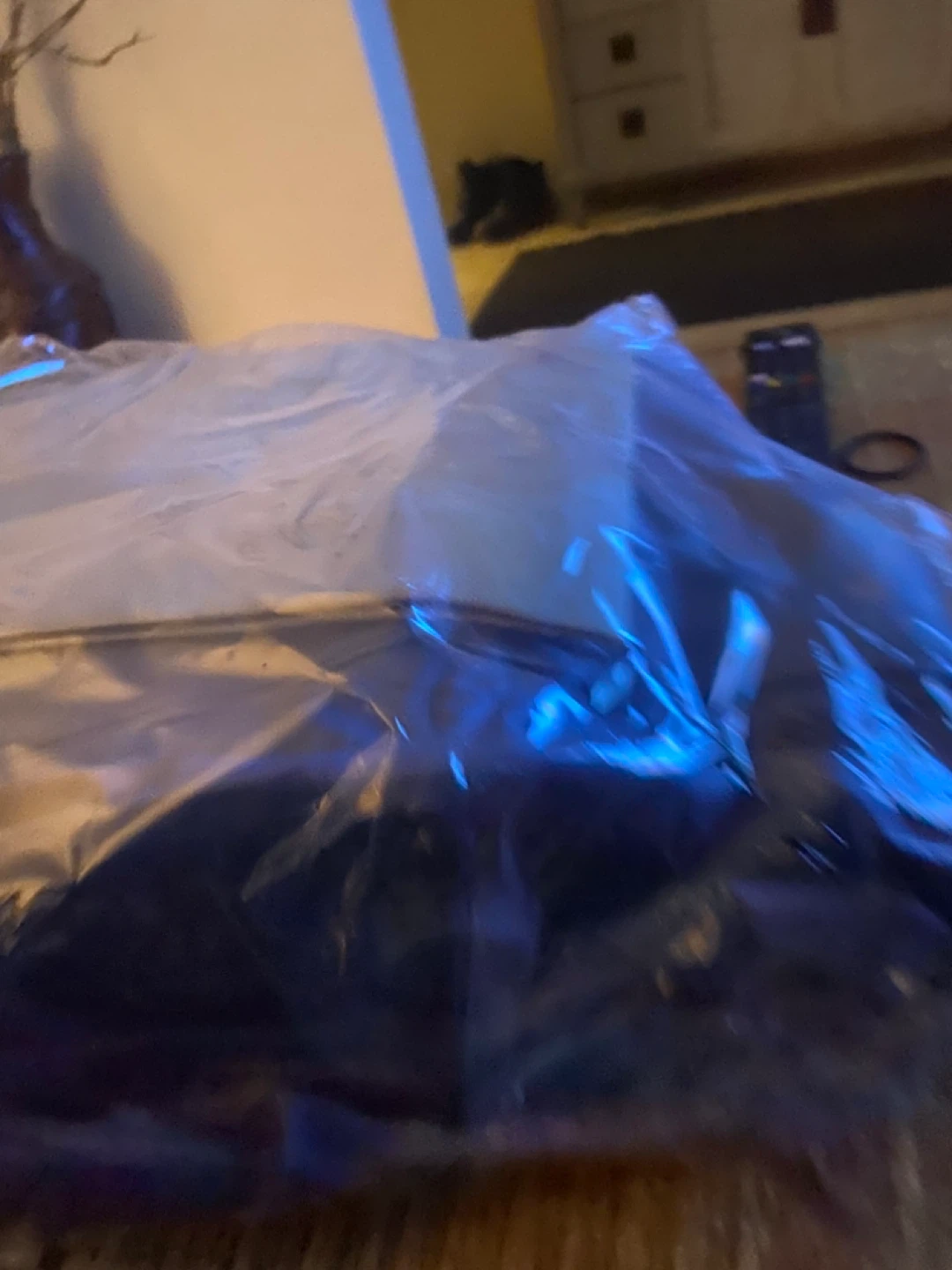 Queen Air Mattress pick up only - photo 4