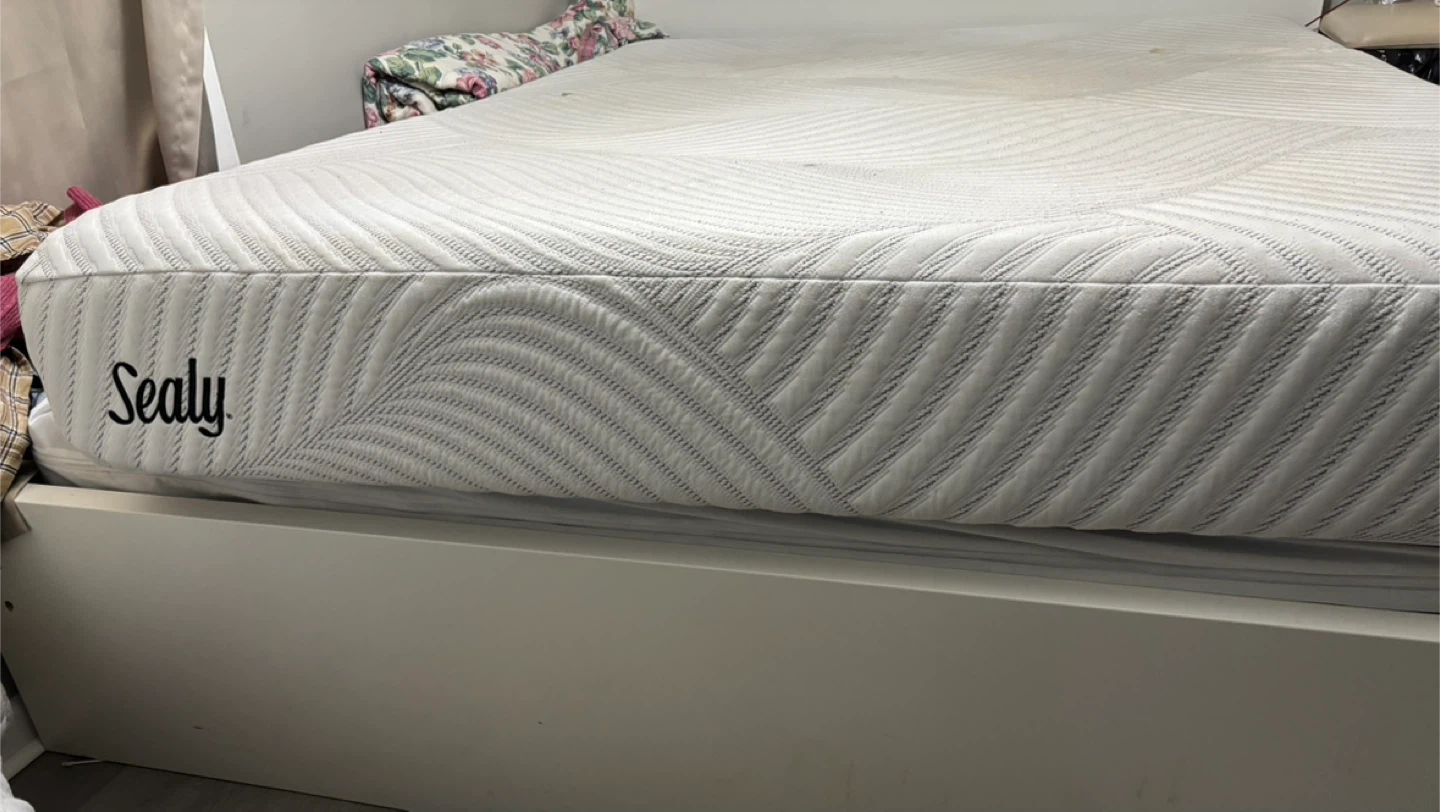 Sealy Mattress y box