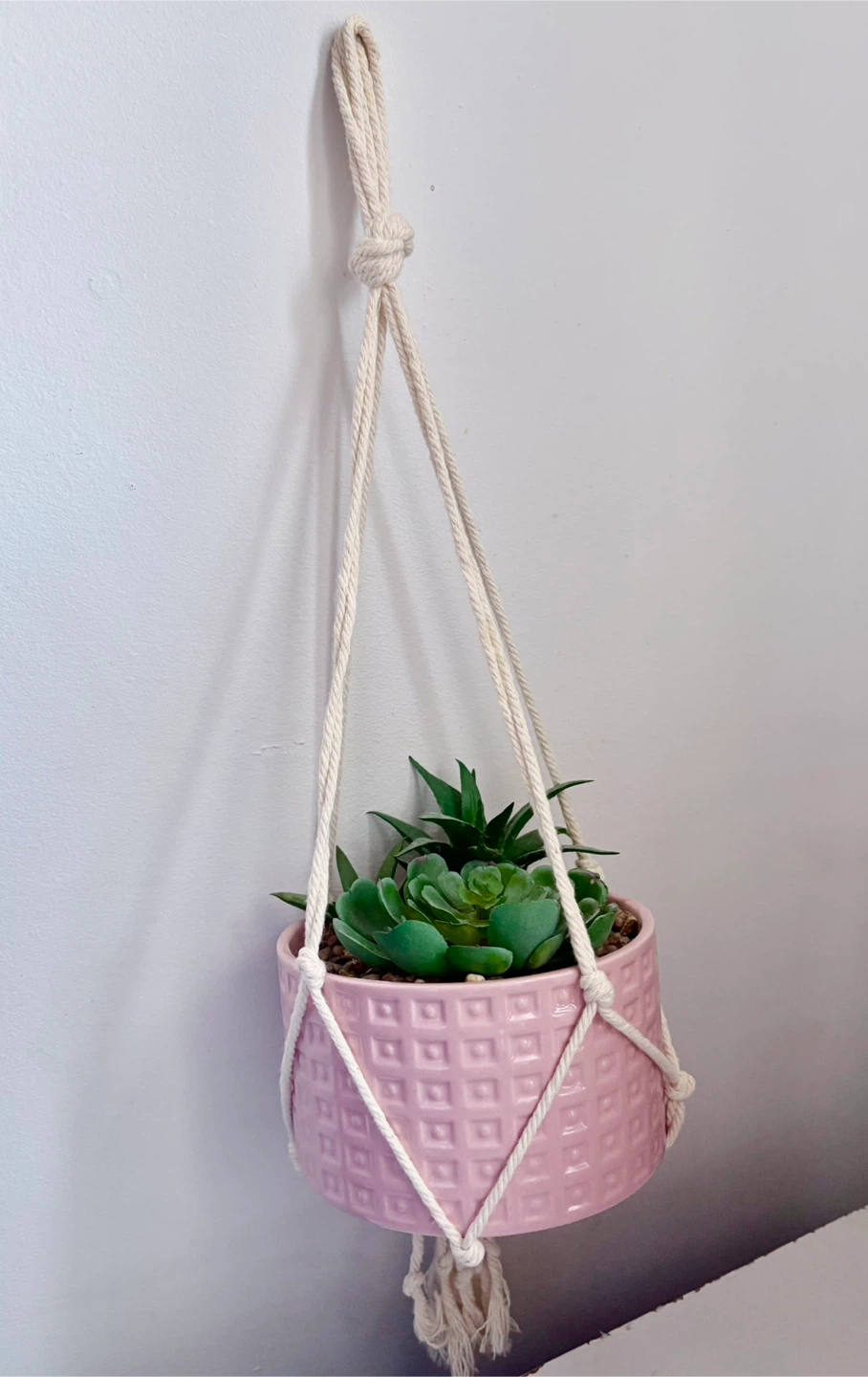 Pink ceramic macrame hanger with faux succulent 🏆