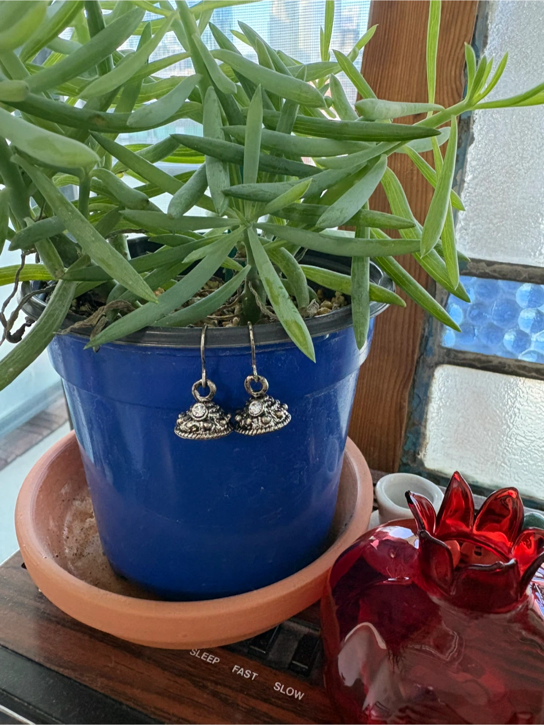 Beautiful Earrings BN