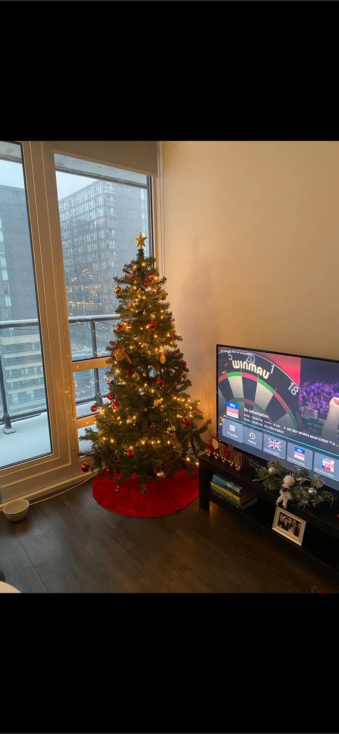 Christmas Tree with Decorations and Lights