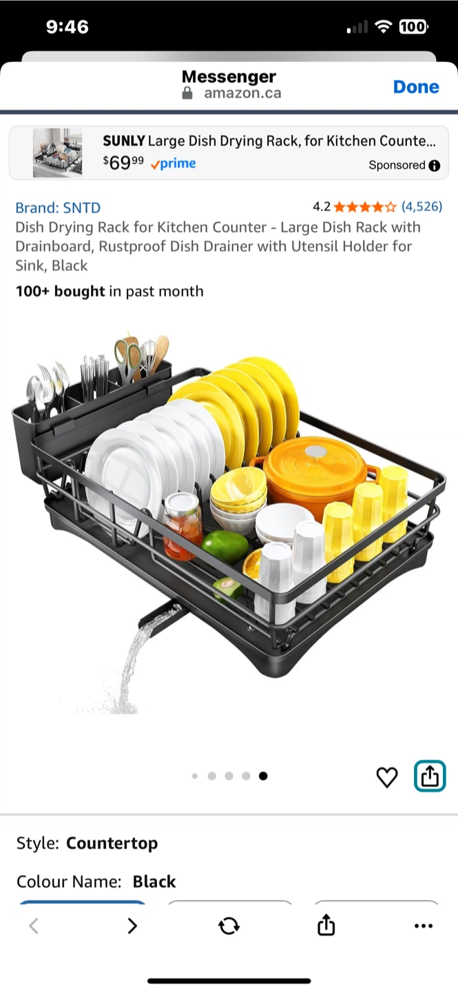 SNTD Large Dish Drying Rack with Utensil Holder - Black