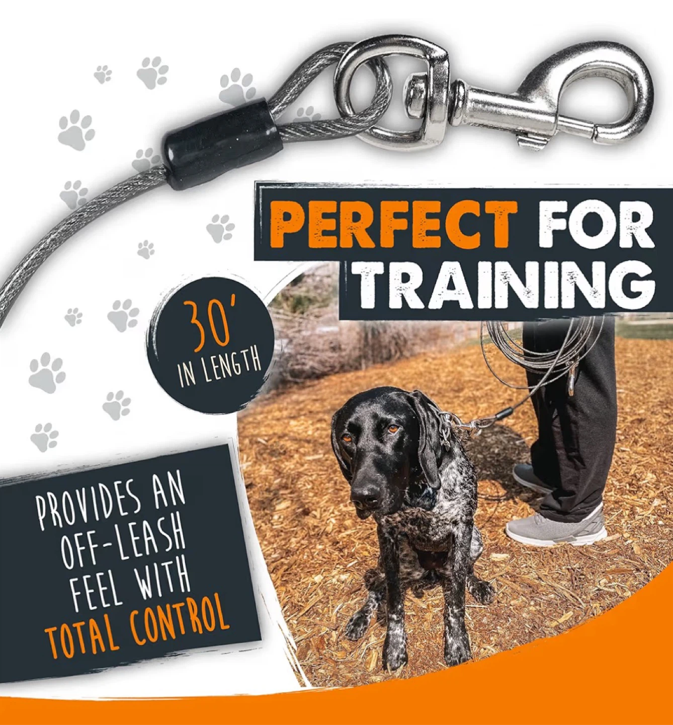 Brand New Mighty Paw Dog Cable Tie-Out / Training Lead - photo 3