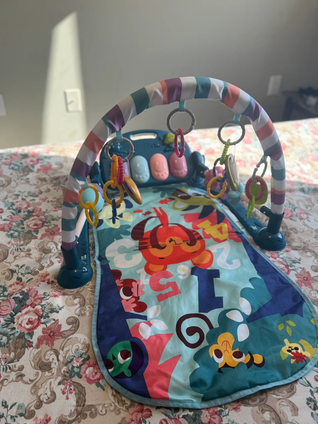 Baby Activity Gym and Play Mat